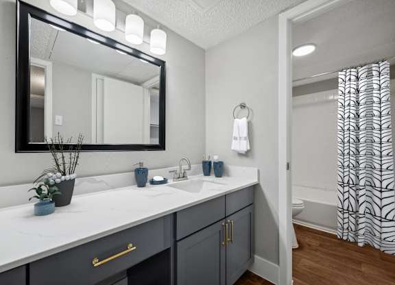 a bathroom with a large mirror and a sink and a toilet