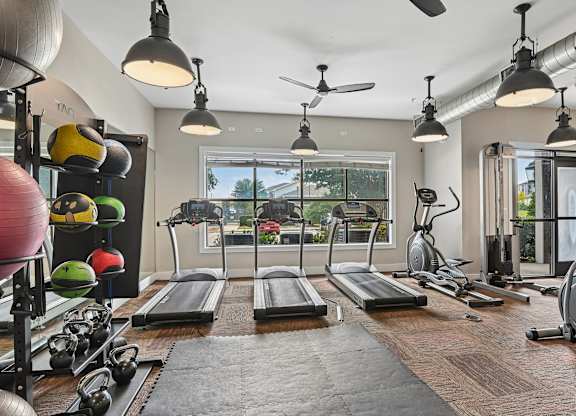 A gym with treadmills, weights, and exercise balls.