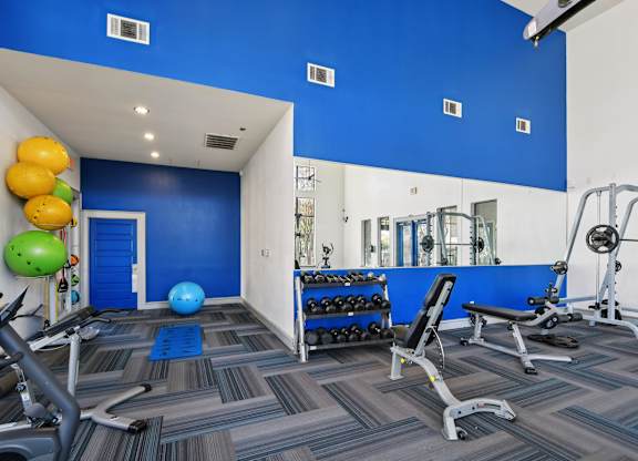 A gym with blue walls and a variety of equipment.