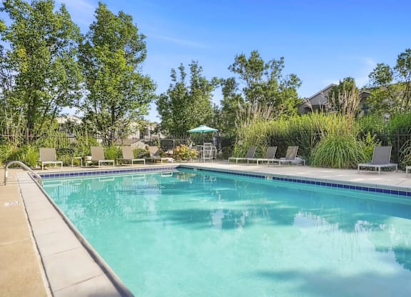 A large swimming pool surrounded by trees and lounge chairs.