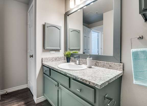 a bathroom with a sink and a large mirror