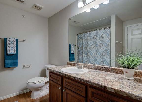 a bathroom with a sink toilet and a mirror