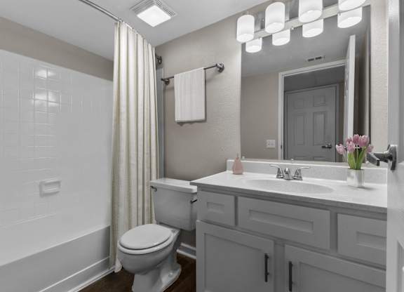 a bathroom with a toilet sink and shower and a mirror