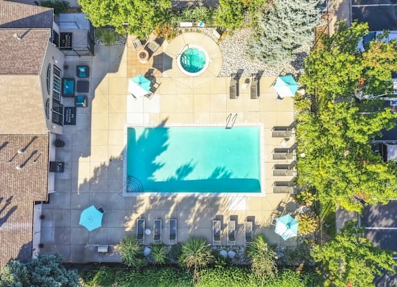 a birds eye view of the pool at the resort at longboat key club
