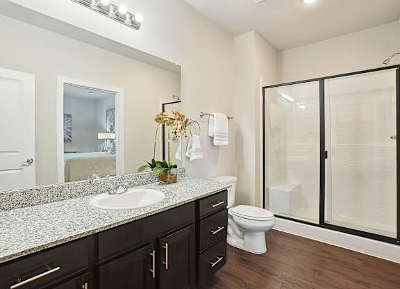 A bathroom with a sink, toilet, and mirror.