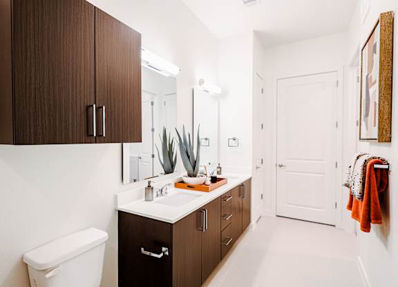 a bathroom with a sink and a mirror and a toilet