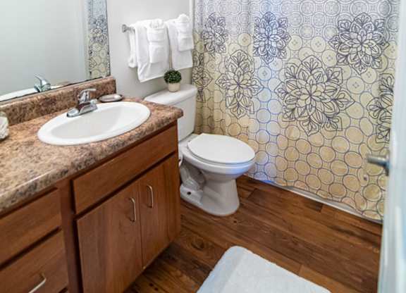 A bathroom with a toilet, sink, and shower.