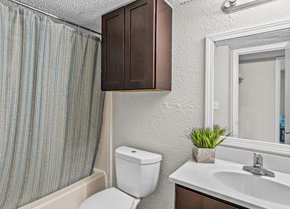 the enclave at homecoming terra vista bathroom