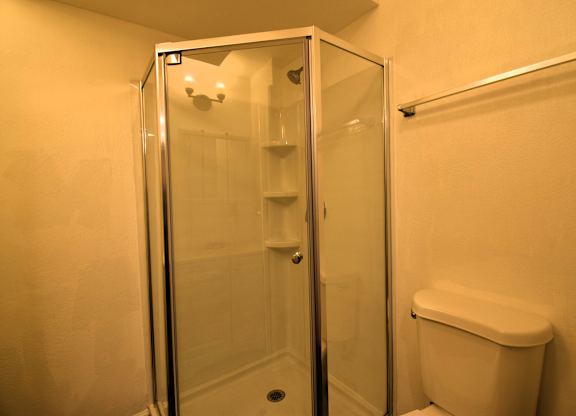 a bathroom with a shower and a toilet
