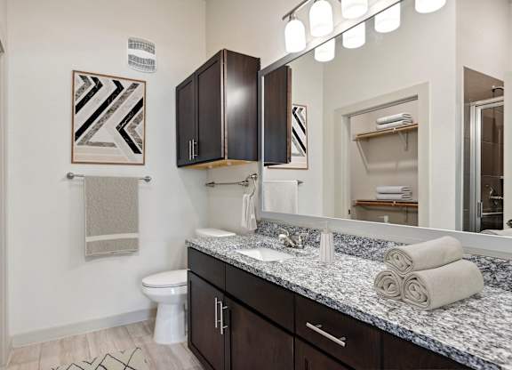 a bathroom with a sink and a toilet and a mirror