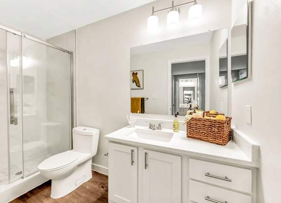sarasota fl apartments and townhomes for rent