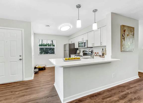 sarasota fl apartments and townhomes for rent