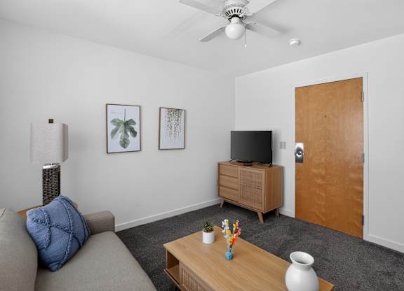 A living room with a grey couch, a wooden coffee table, a flat screen TV, and a ceiling fan.