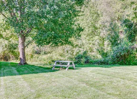 Picnic Area at The Meadows, Chelmsford