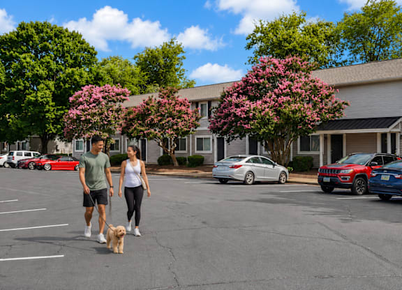A man and woman walking a dog in a parking lot.