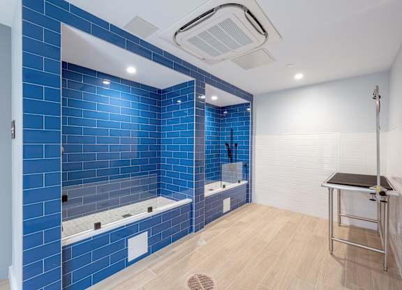 A blue tiled bathroom with a white door and a white sink at Seacoast Residences Apartments, Maine, 03904
