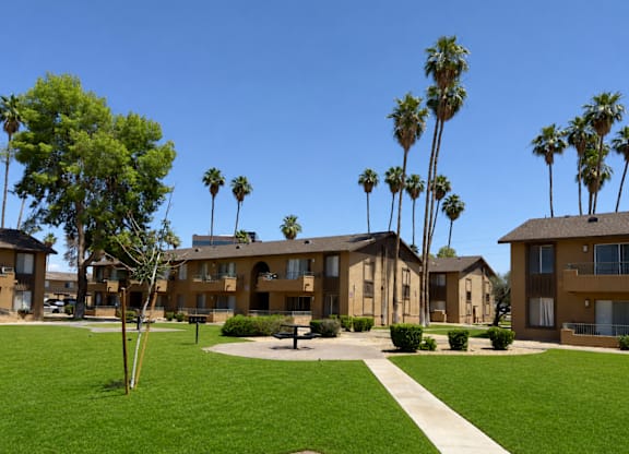 A row of houses with palm trees in front.