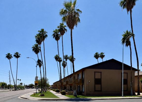 Palm trees line a street in front of a tan building.