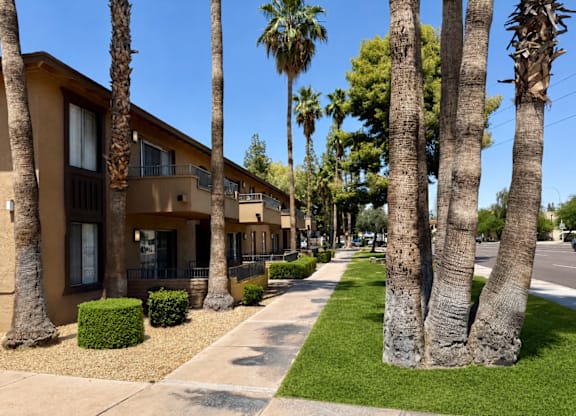 A row of houses with palm trees in front.