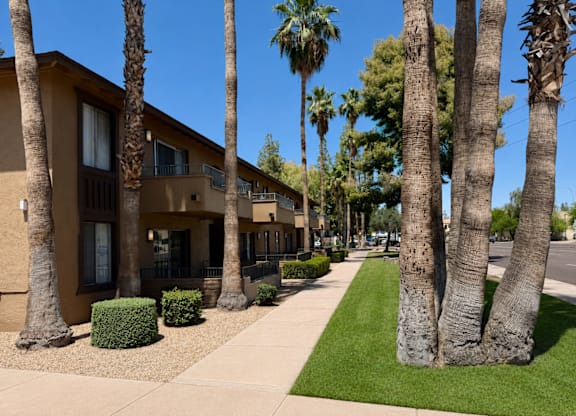 Palm trees line a sidewalk in front of apartment buildings.