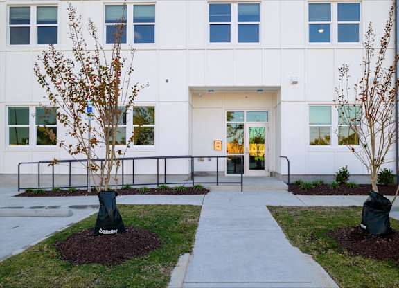 A white building with a black tree in front.