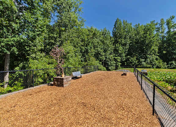 Dog Park with Benches at The Estates at Ballantyne, Charlotte, North Carolina, 28277
