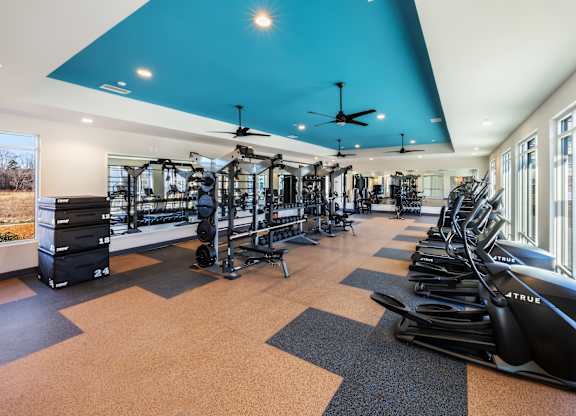 A gym with a row of treadmills and a row of exercise bikes.