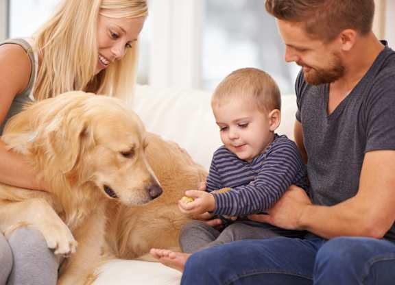 family pet