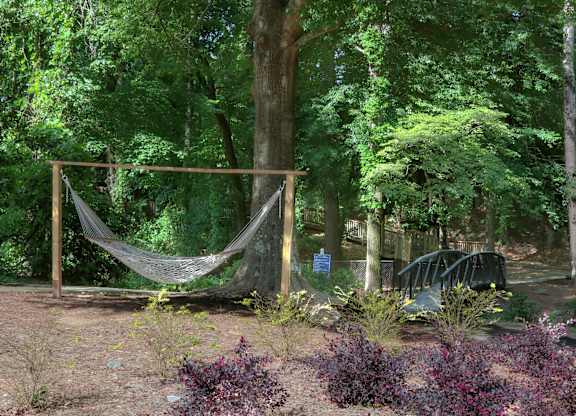 hammock along walking trail