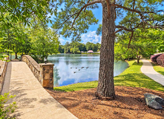 A tree stands next to a lake in a park.