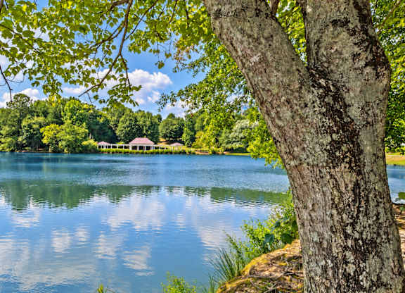 A tree is in the foreground of a serene lake.