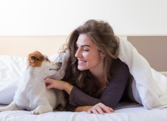 A woman is lying on a bed with a white pillow, petting a small white and brown dog.