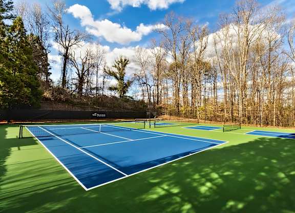 A tennis court surrounded by trees on a sunny day.
