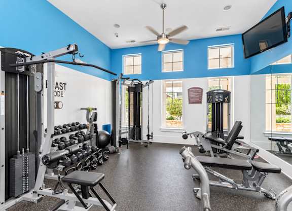 A gym with a variety of equipment including a weight bench, a squat rack, and a treadmill.