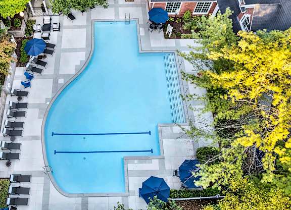 A large blue swimming pool surrounded by trees and lounge chairs.