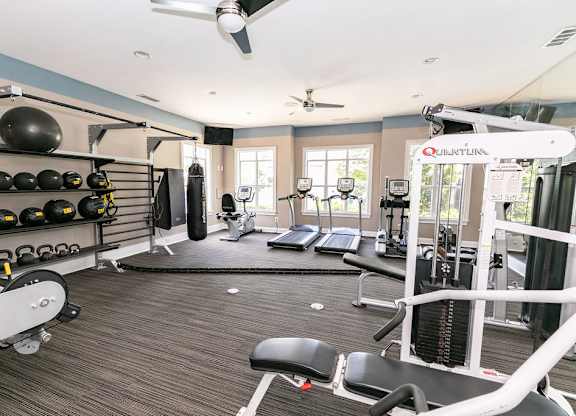 Fitness Center With Modern Equipment at Villas at Hampton, Hampton, GA, 30228