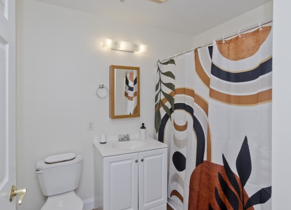 a bathroom with a shower curtain and a toilet and sink