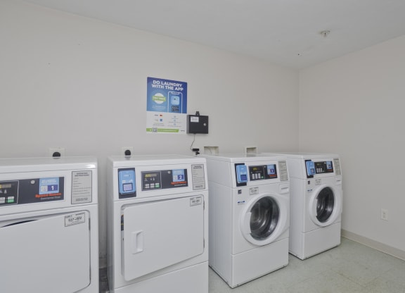 four washes and dryers in a laundry room with a wall of washing machines