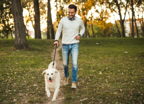man walking dog