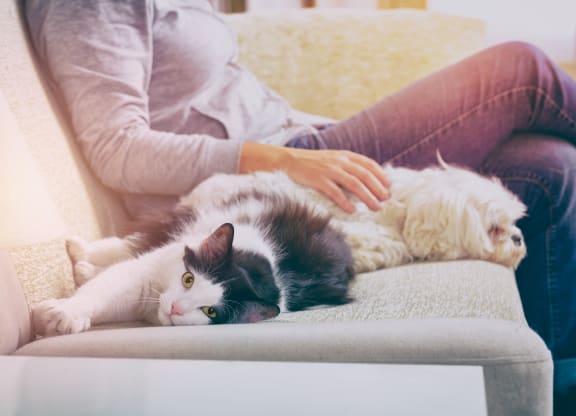woman with her pets