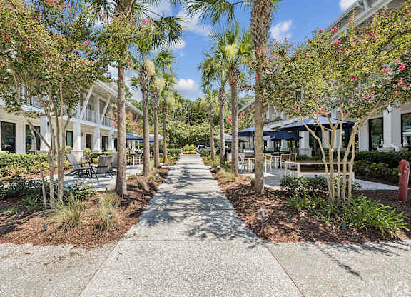 A tree-lined walkway leads to a building.