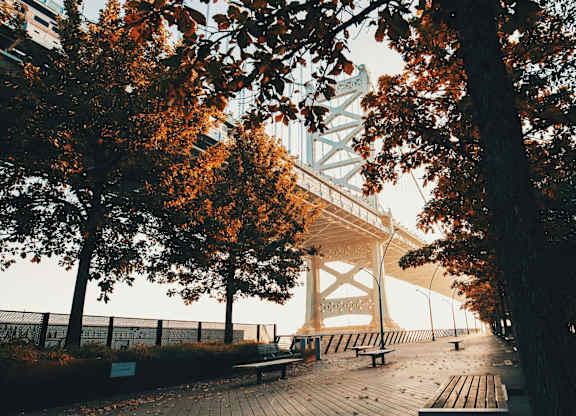 A bridge with a white structure and a metal railing is seen through the trees.