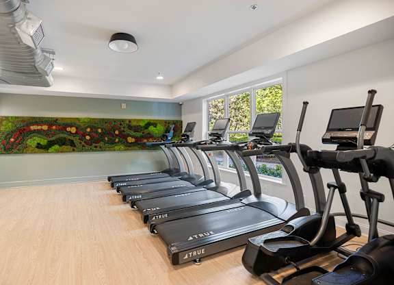 A row of treadmills in a gym with a mural of a garden on the wall.