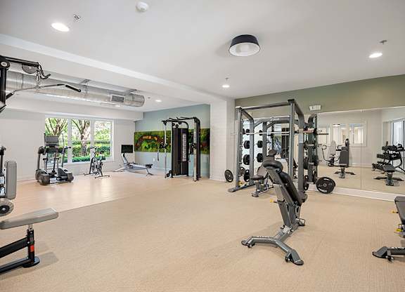 A spacious gym with a variety of equipment.