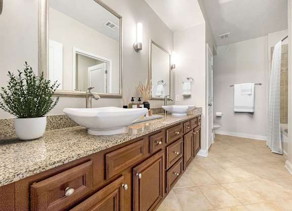 A bathroom with a large mirror, a sink, and a potted plant.