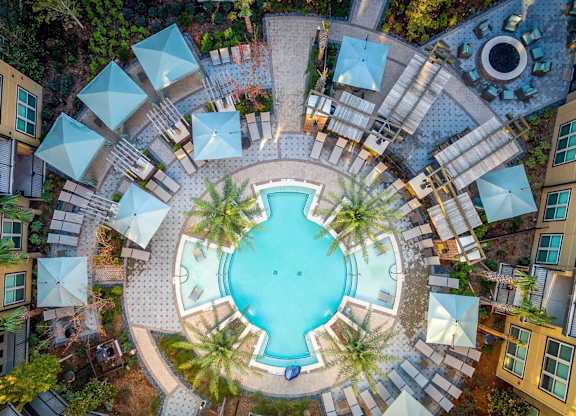 A round swimming pool surrounded by a white fence and palm trees.