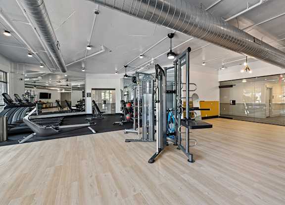 A gym with a variety of equipment including treadmills, weights, and a squat rack.