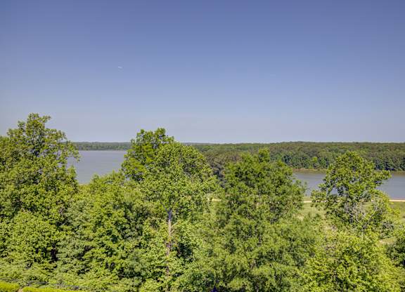 A lake surrounded by green trees under a clear blue sky.
