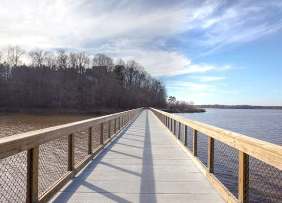 A wooden boardwalk extends into the distance over a body of water.