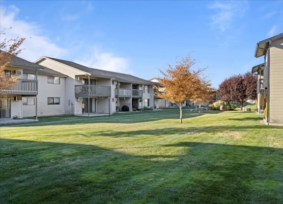 Large green grass courtyard with orange trees in the center of the community. at Brix, Washington